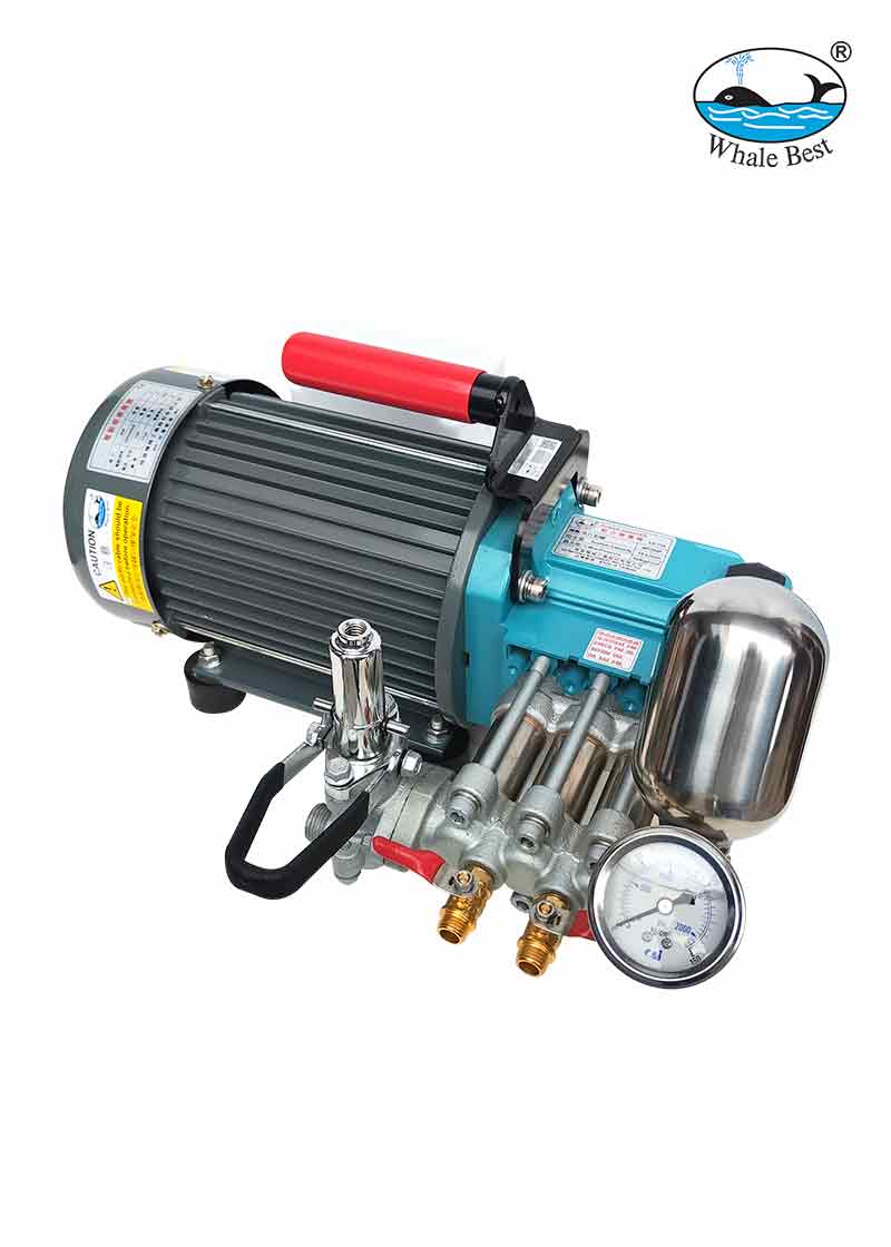 Bomba portable WHALE BEST LS-715_sintecagroperu