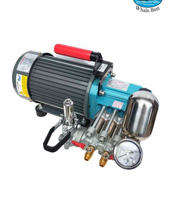 Bomba portable WHALE BEST LS-715_sintecagroperu